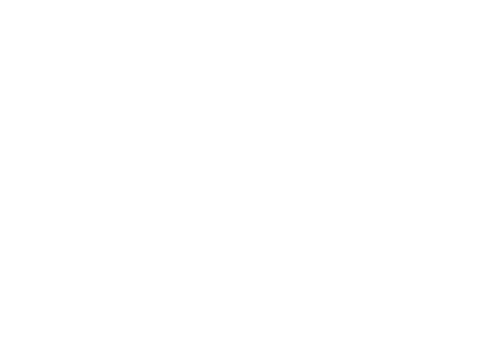 Nouvelle Cuisine