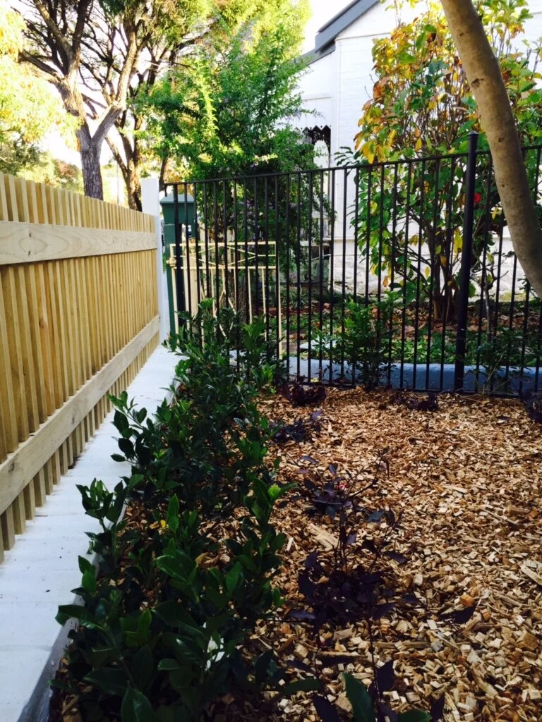 New Front Boundary Fence and Garden Planting
