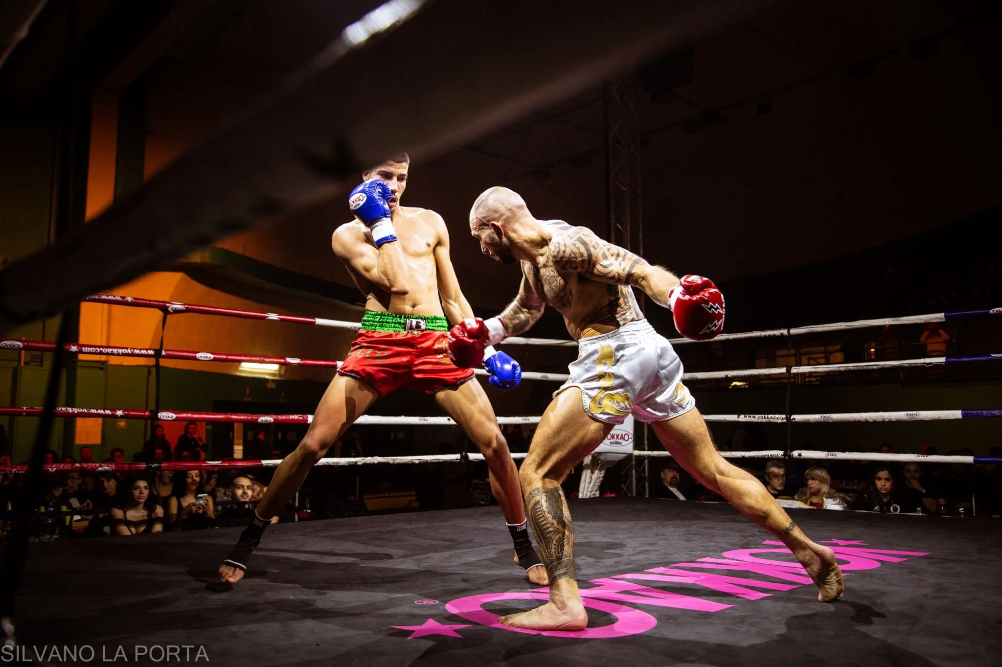 Thaiboxe Mania 2025: Un Evento Epico che ha Infuocato Torino