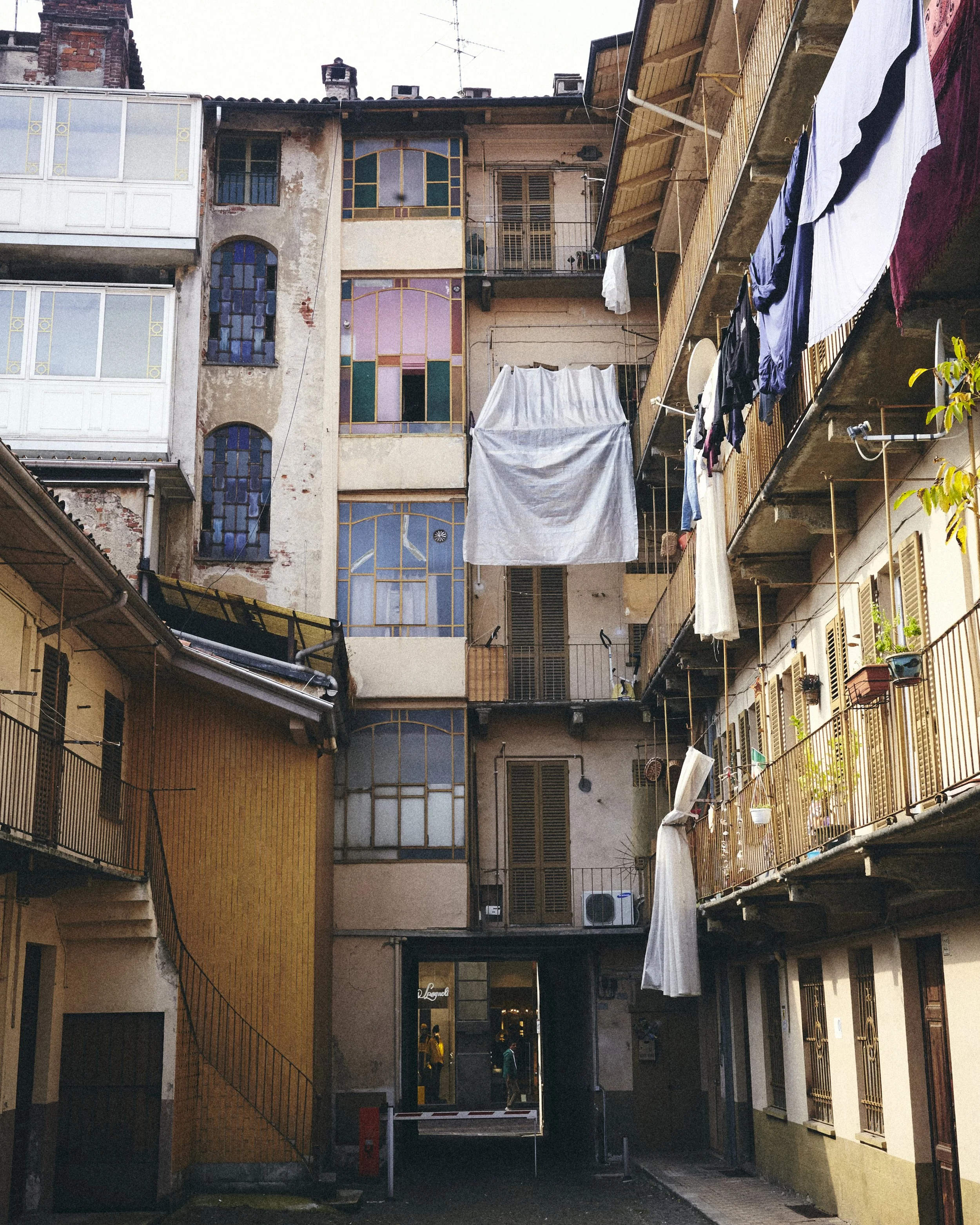 _MG_5285.jpg
