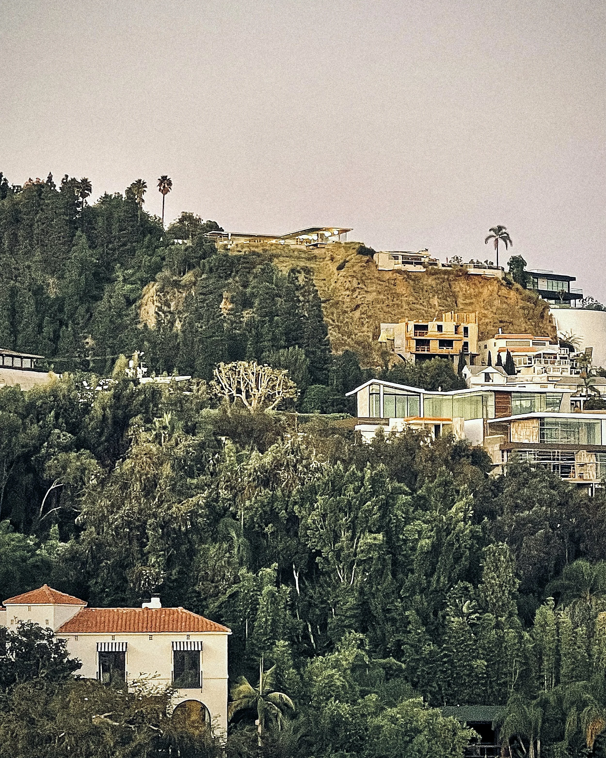 IMG_3384 2.jpg