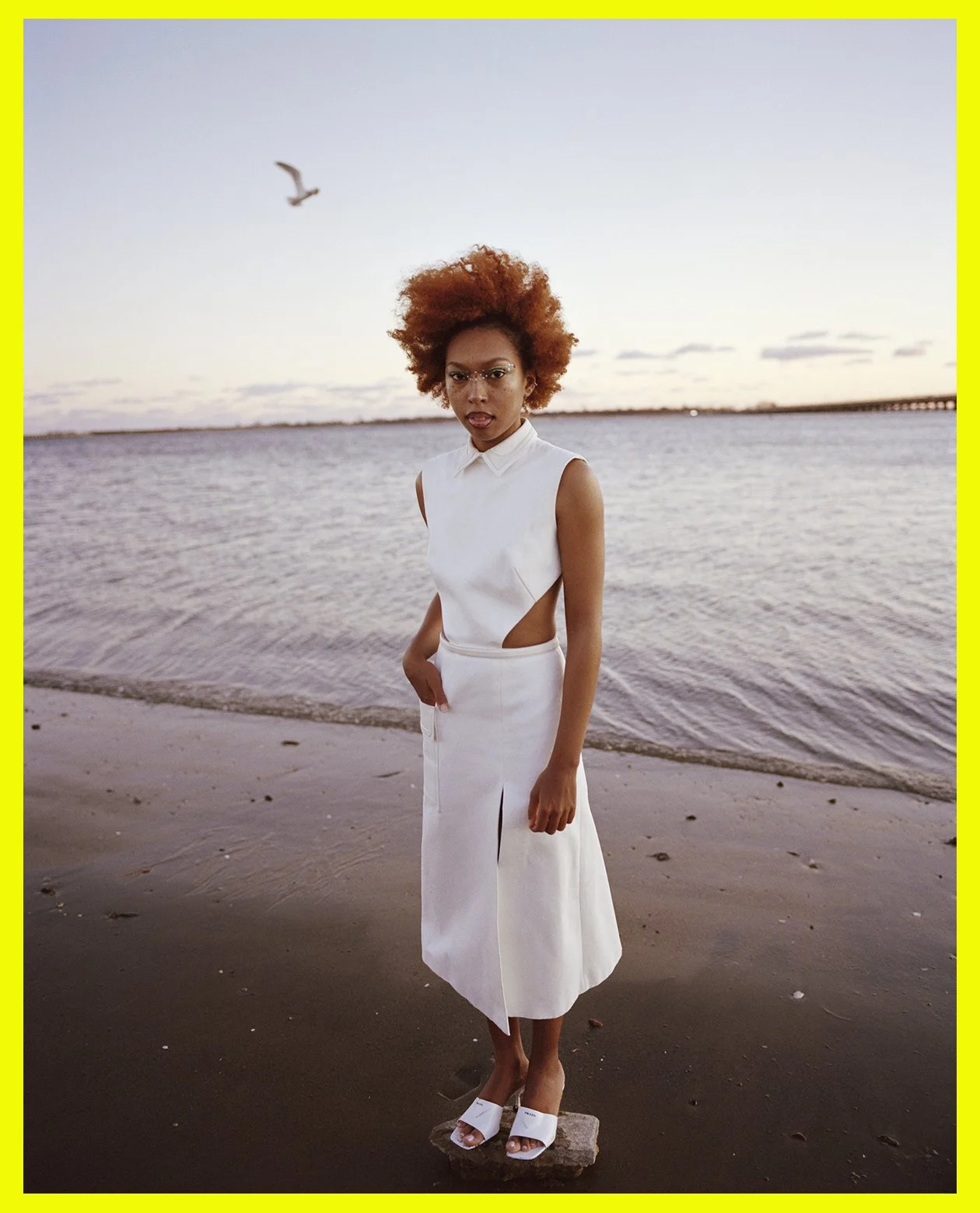 AMIRA FOR LAMPOON