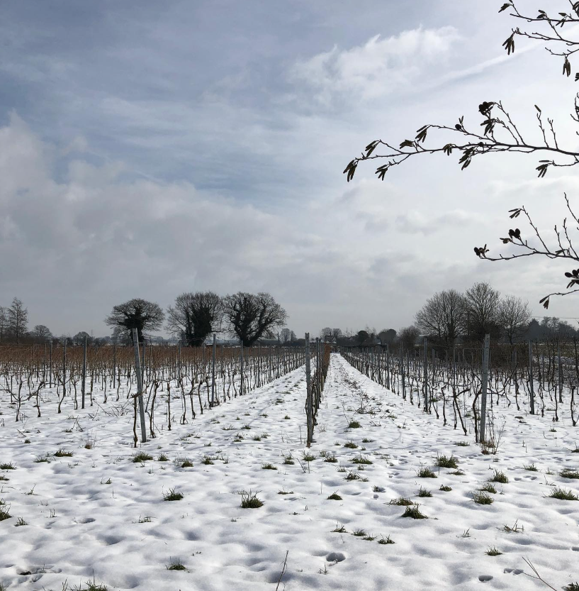 Chet Valley Vineyard - Christmas Cellar Door Day