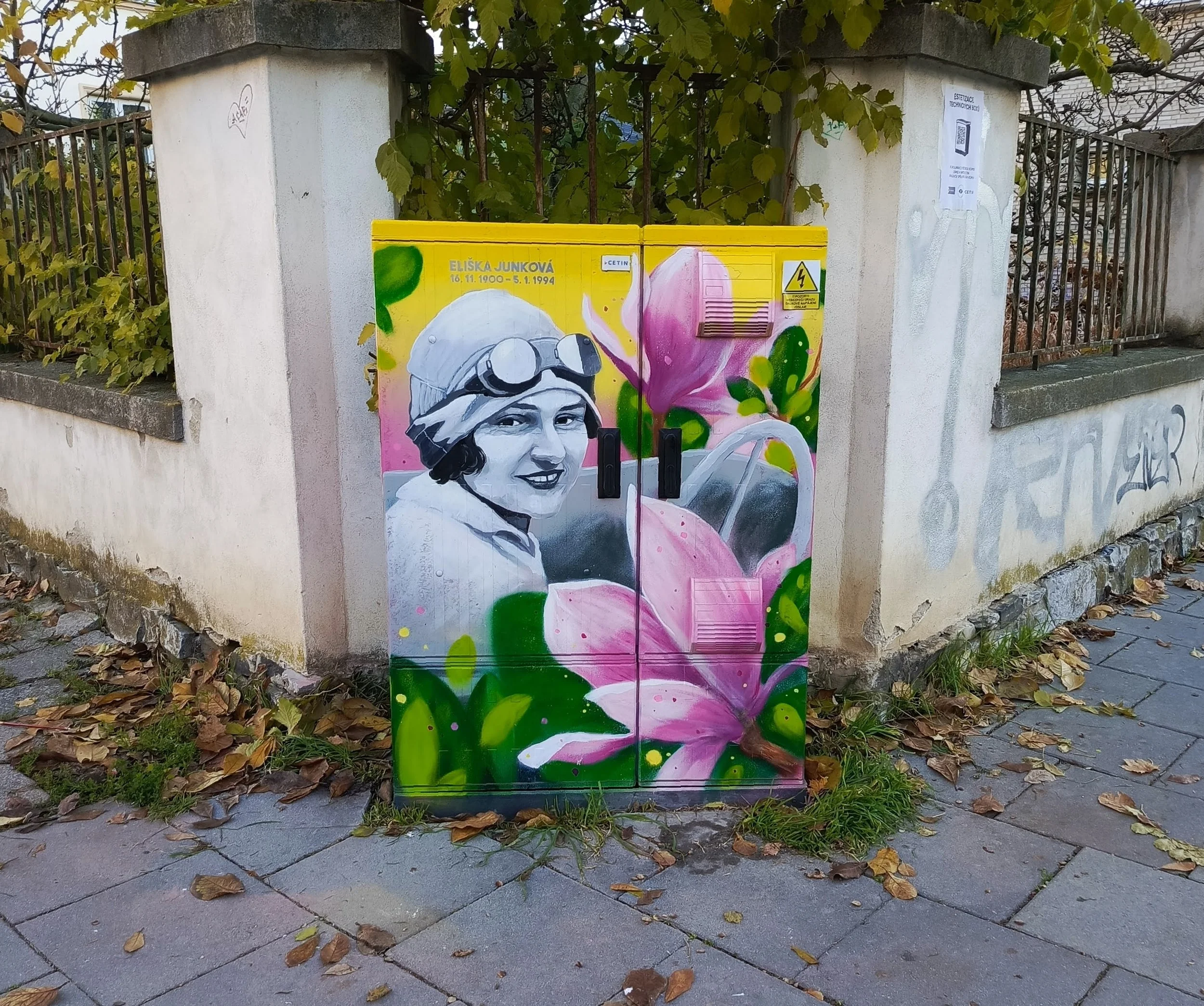 1761906206452.jpg