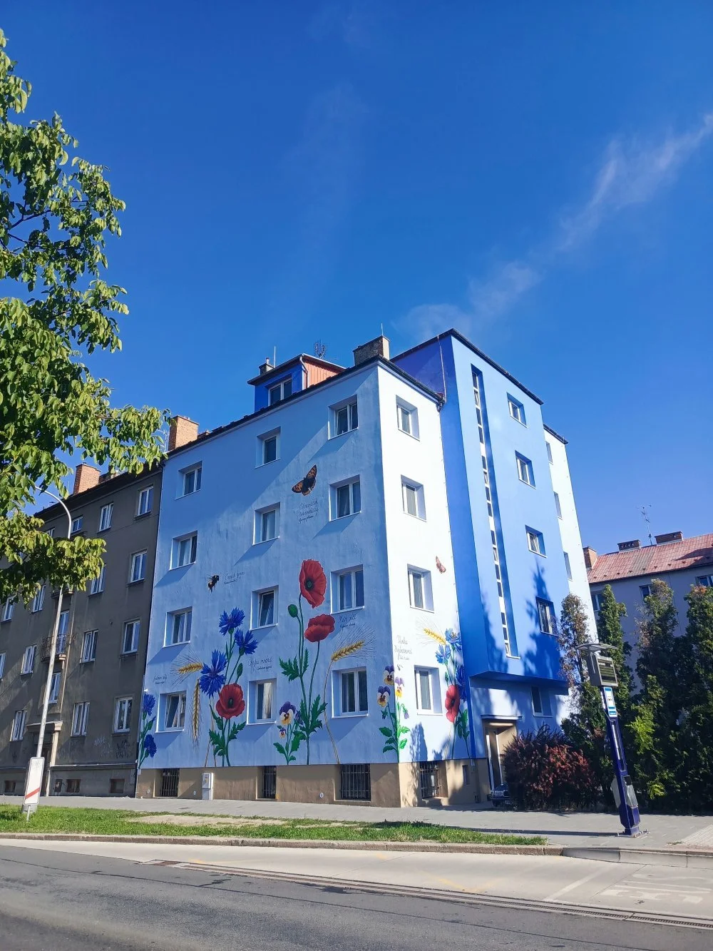Hanácká louka rozkvetla v Polské ulici v Olomouci