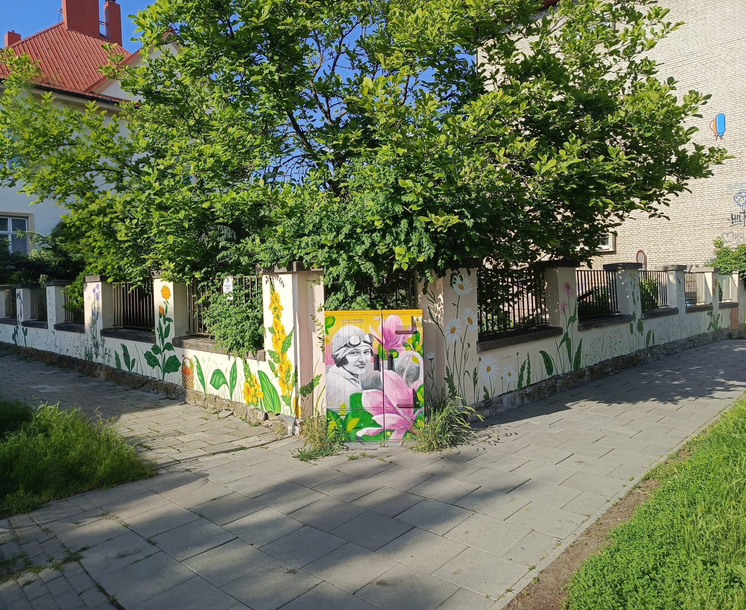 IMG-20260527-WA0029.jpg