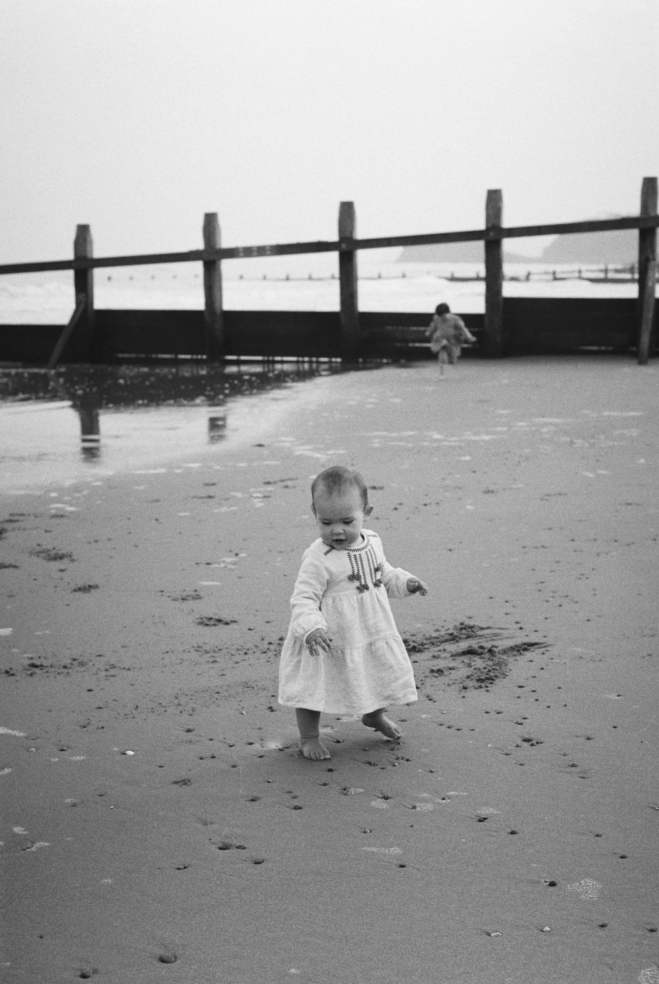 wild family photos in devon-9.jpg
