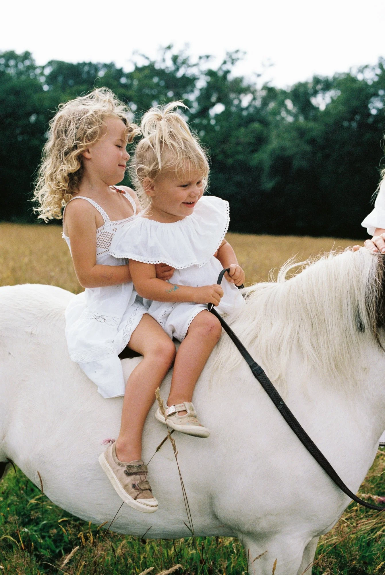 wild family photos in devon-9.jpg
