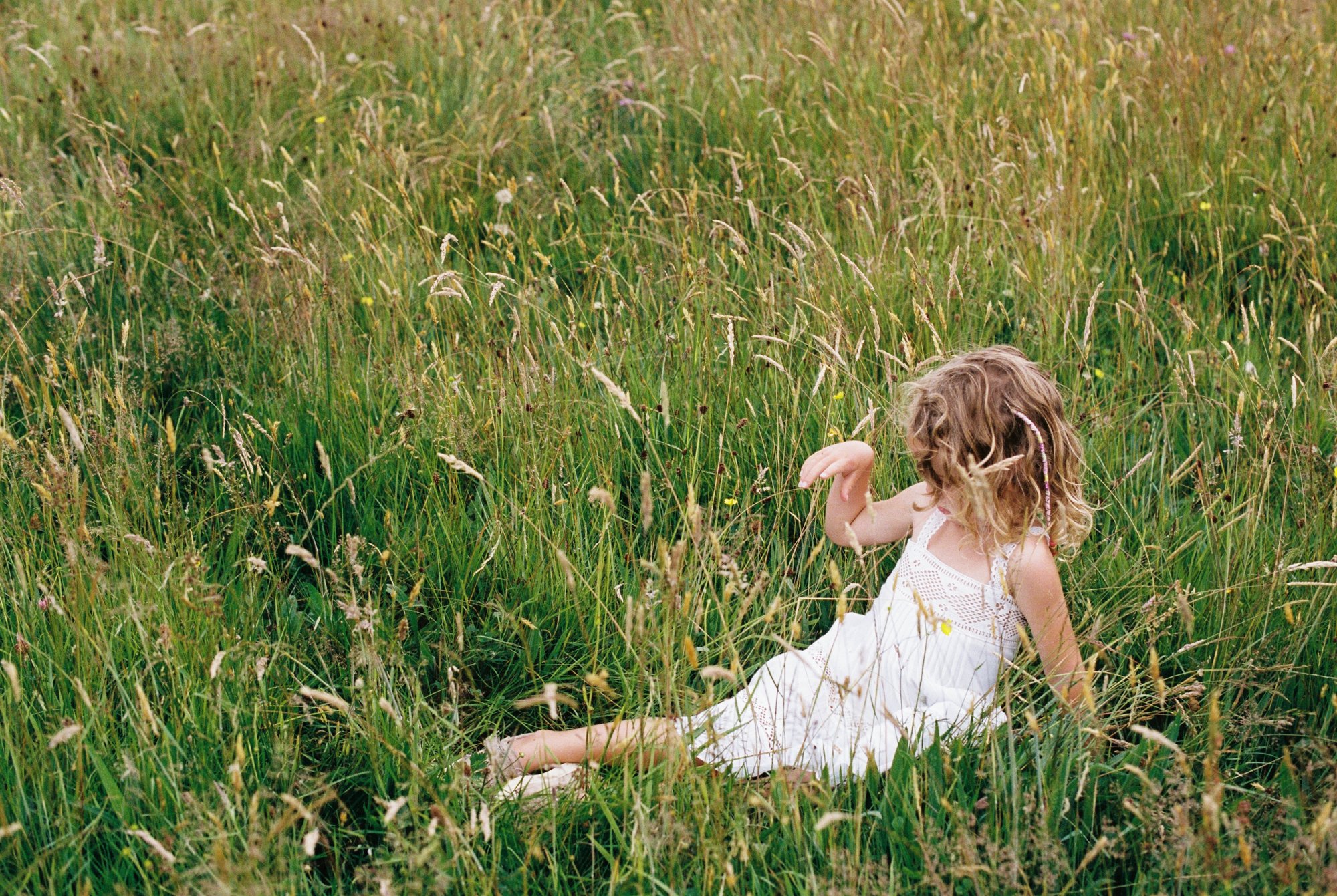 wild family photos in devon-24.jpg