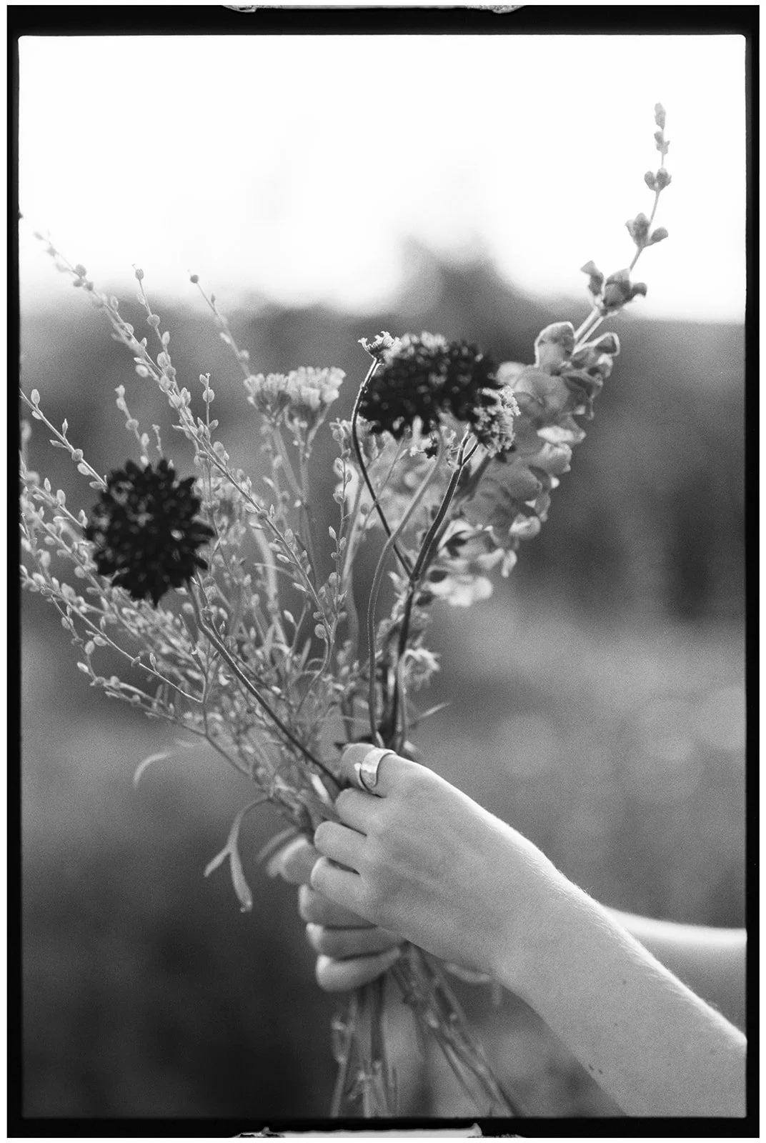Deer leap flowers-14.jpg