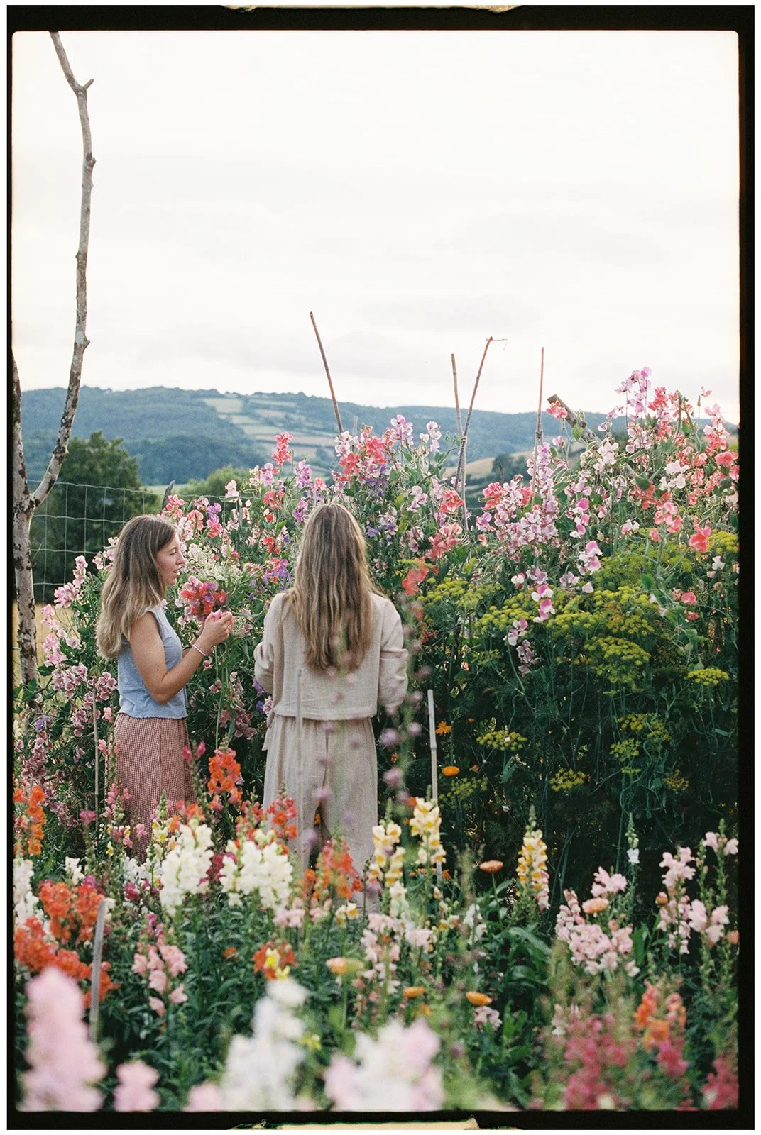 Deer leap flowers-52.jpg