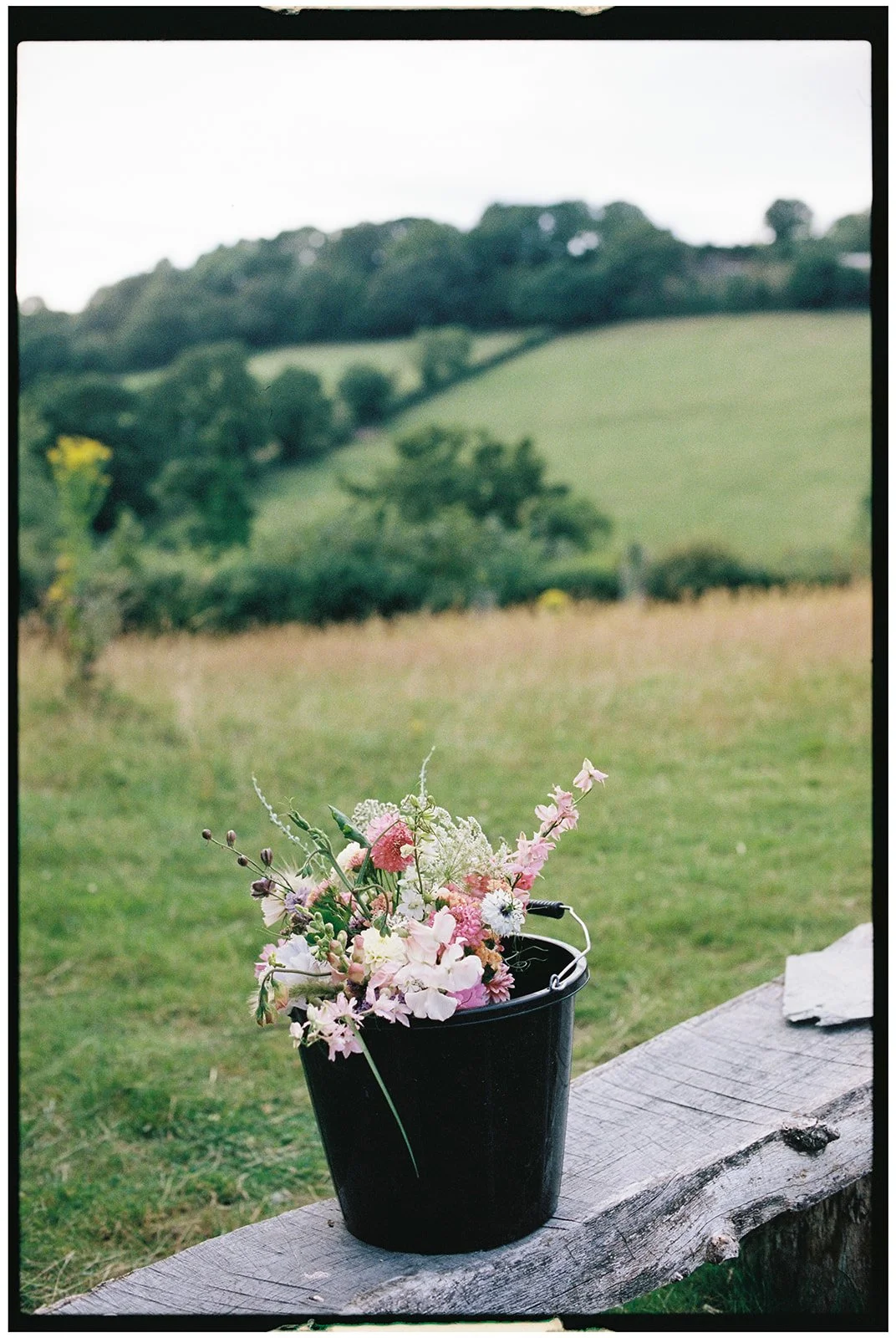 Deer leap flowers-99.jpg