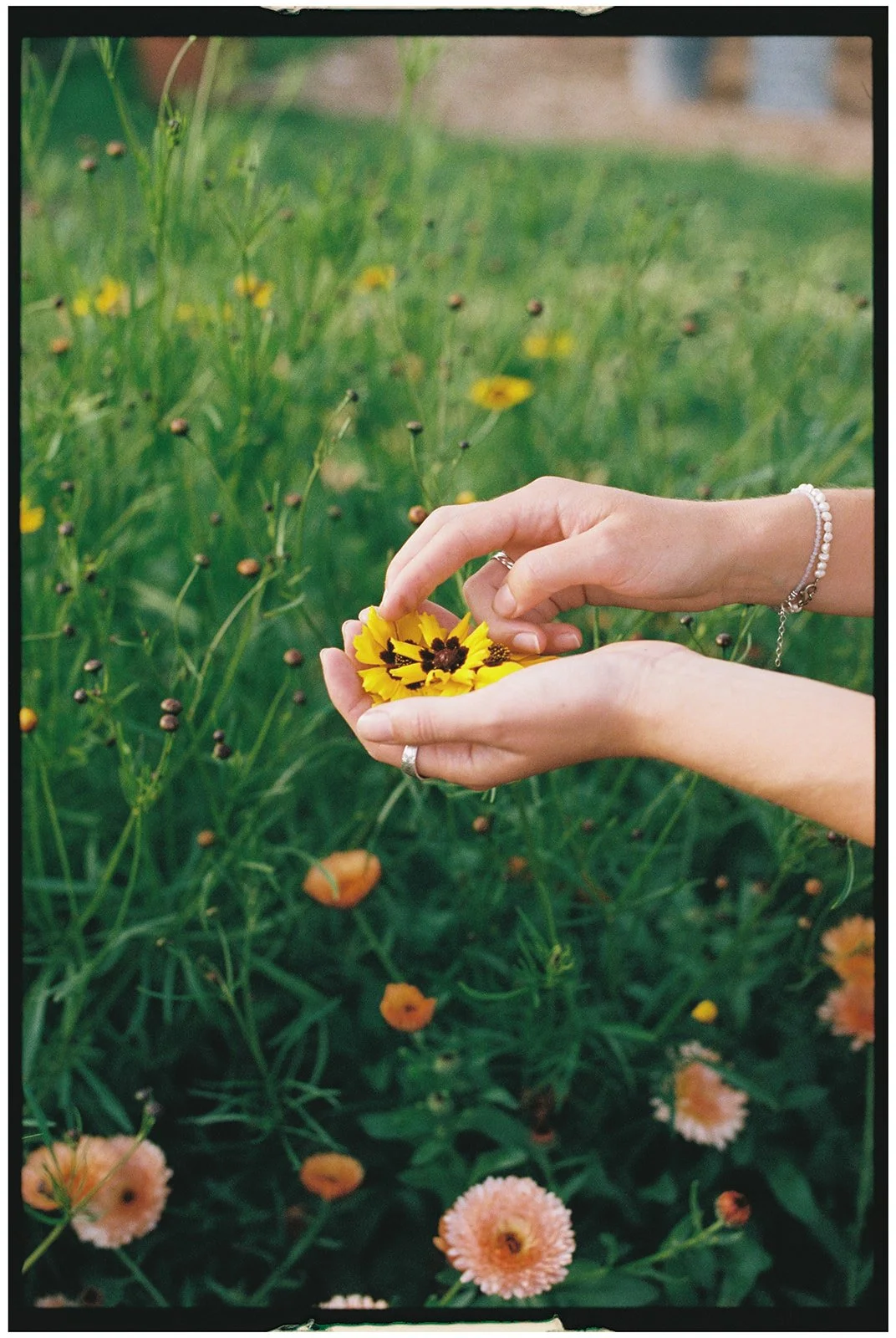 Deer leap flowers-116.jpg