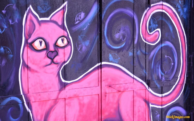 Street-Art-Chile-mickimages (6).JPG