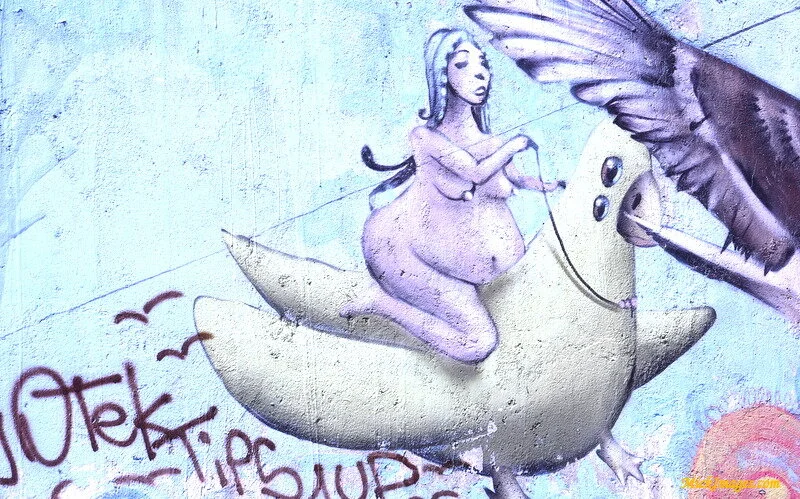 Street-Art-Chile-mickimages (1).JPG