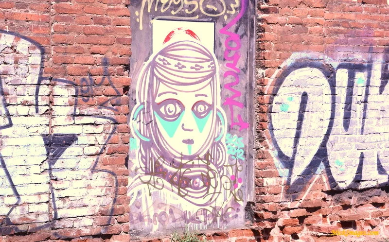 Street-Art-Chile-mickimages (4).JPG