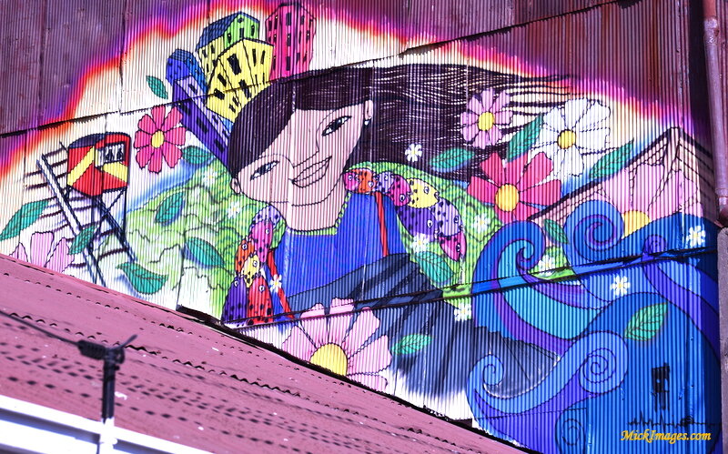 Street-Art-Chile-mickimages (5).JPG