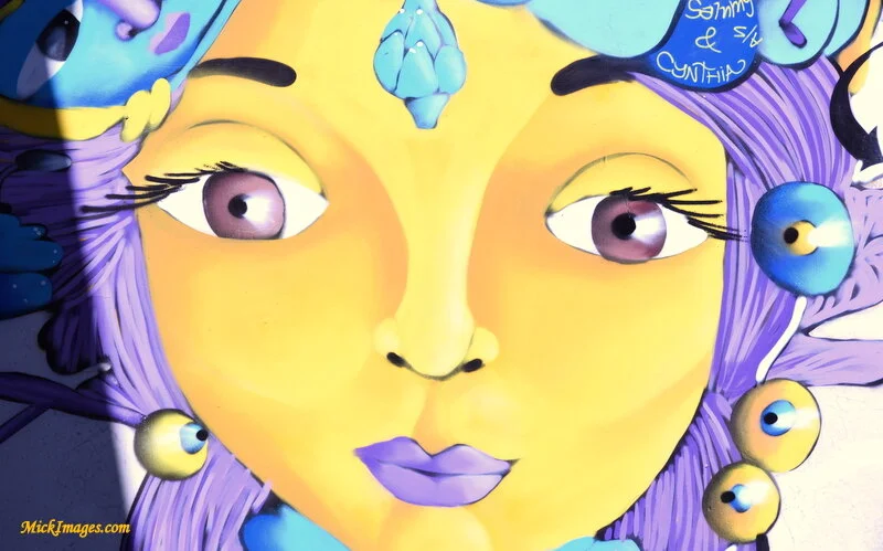 Street-Art-Chile-mickimages (8).JPG