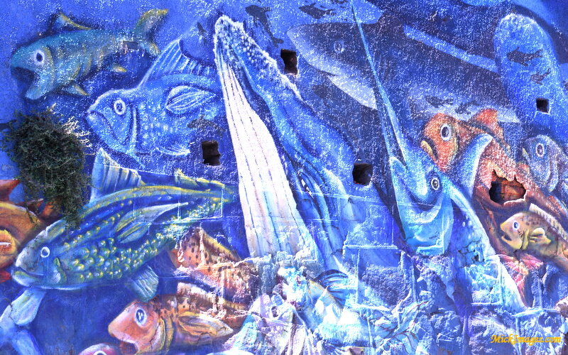 Street-Art-Chile-mickimages (10).JPG