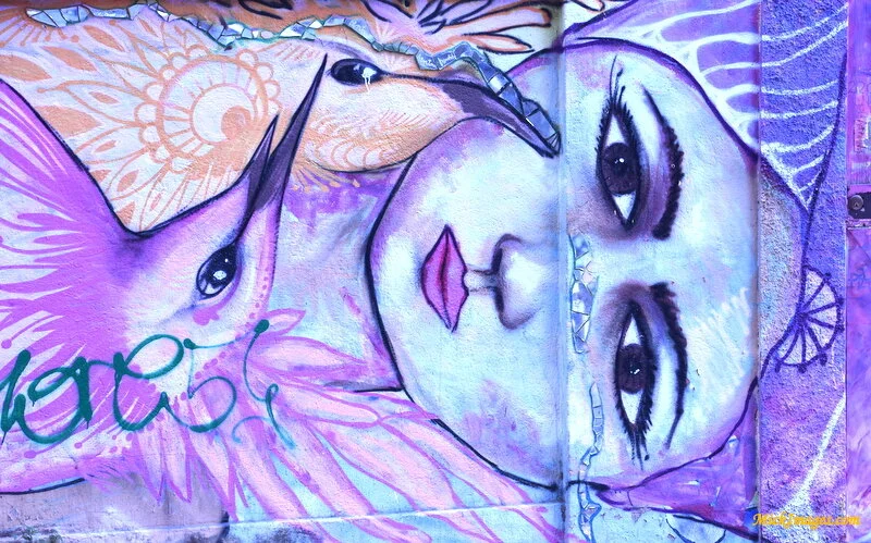 Street-Art-Chile-mickimages (14).JPG