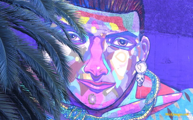 Street-Art-Chile-mickimages (16).JPG