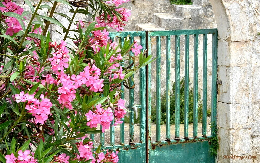 malta-gate-flowers-mickimages.com.jpg
