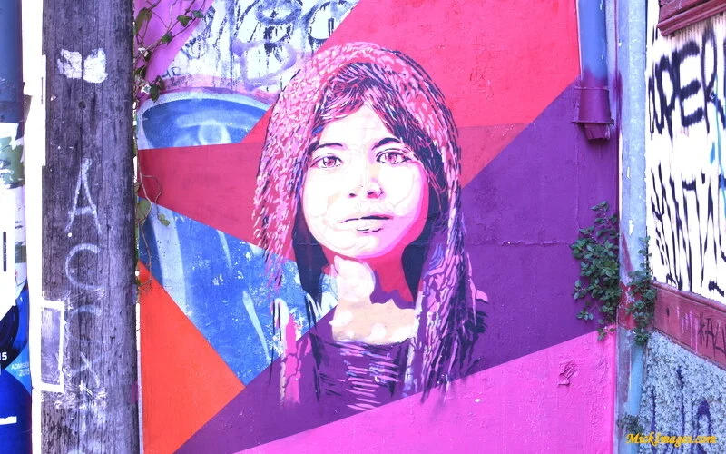 Street-Art-Chile-mickimages (15).JPG