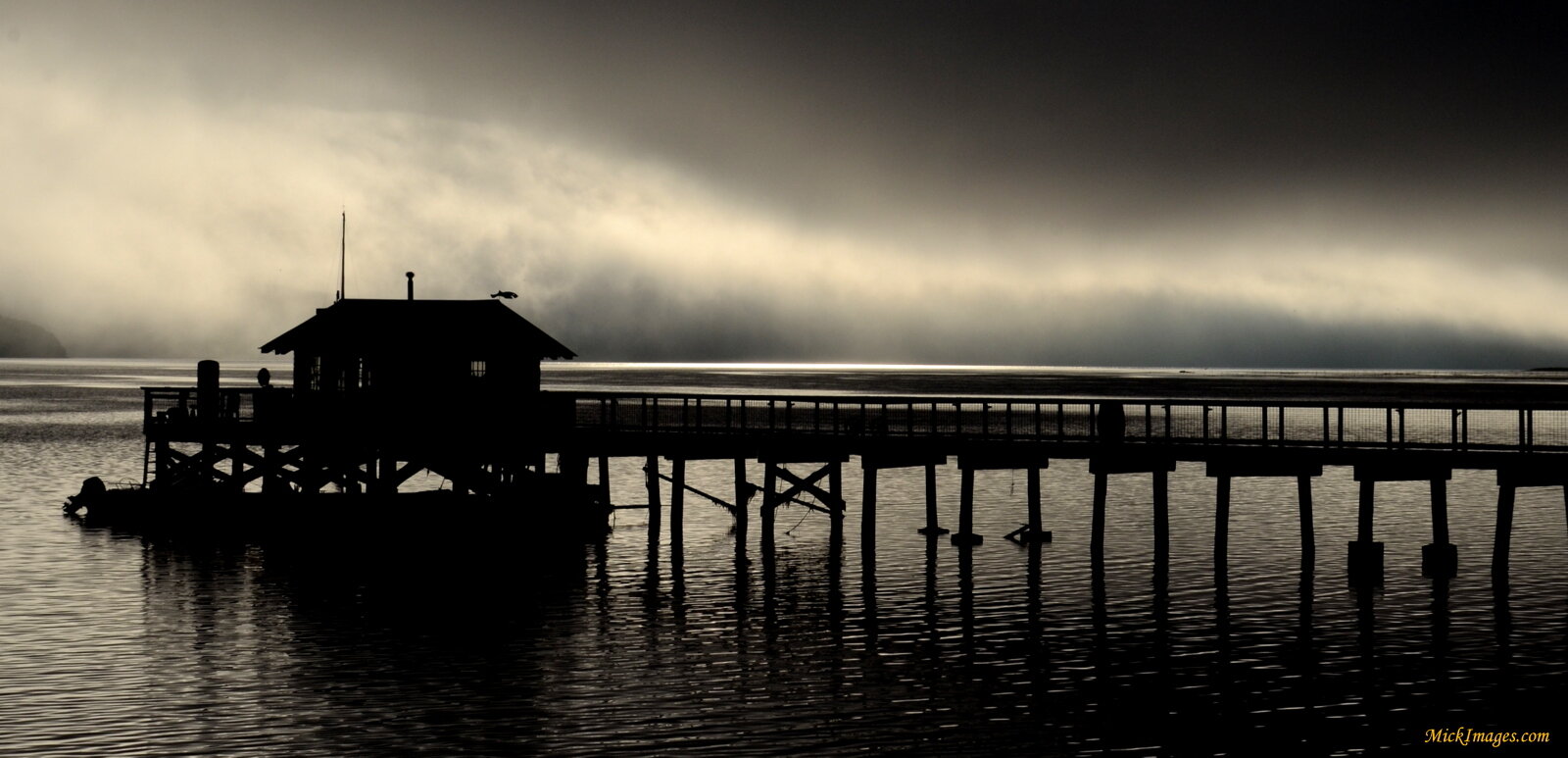 Marshall 2014.6 (10)-001.JPG