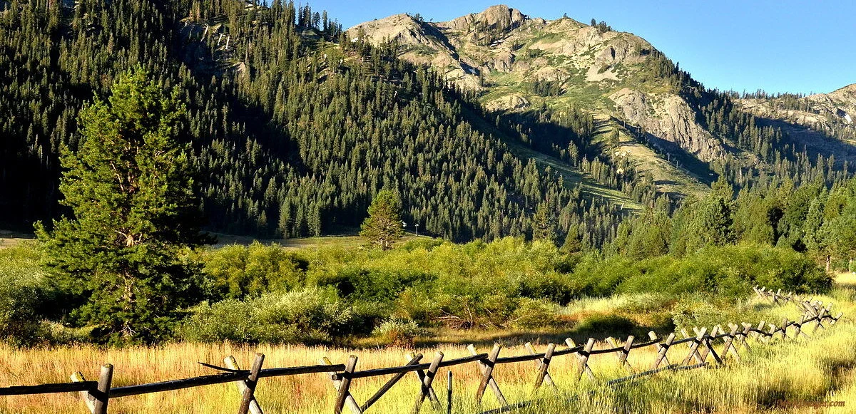 Fence-mountains-SquawValley-CA-mickimages.com.JPG