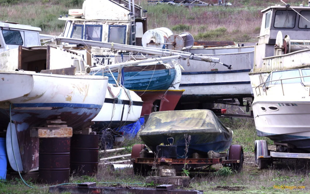 Boatyard-old-boats-Marshall-CA-mickimages.com.JPG