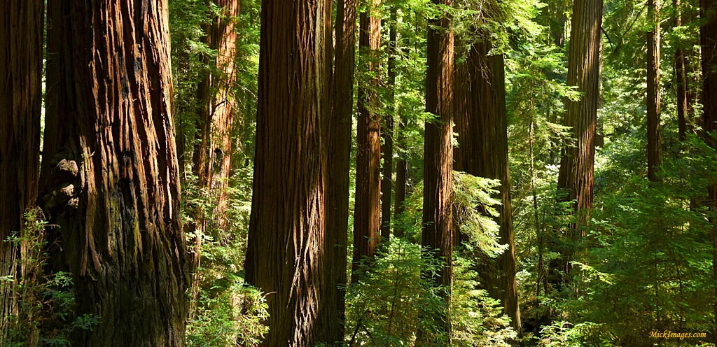 1-2016 Roadtrip w Emma (166).JPG