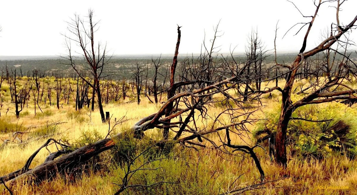 Western Road Trip 2016 (88)-001.jpg