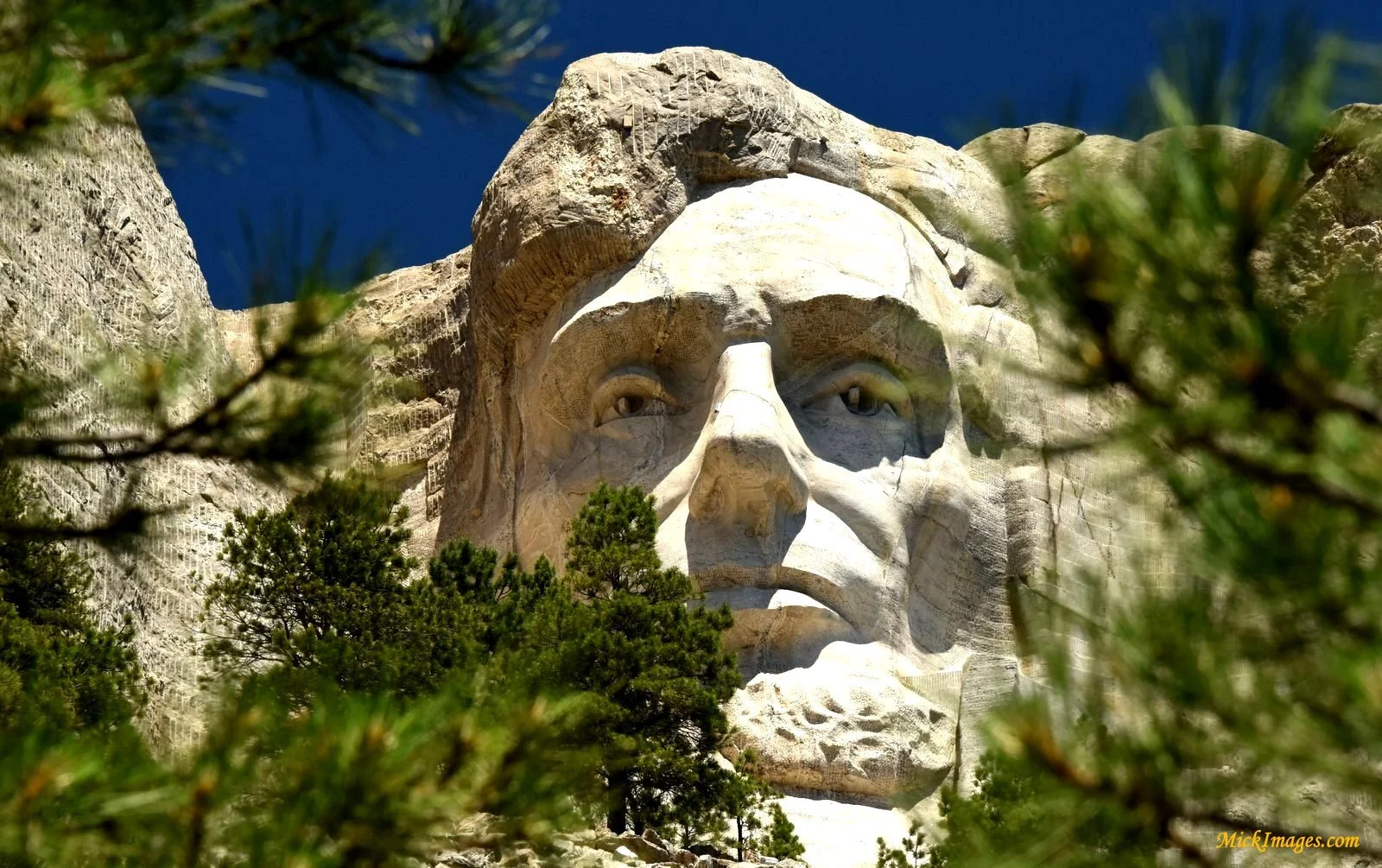 MtRushmore-mickimages.com.JPG