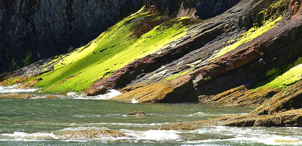 Oregon Coast-detail-mickimages.com.JPG