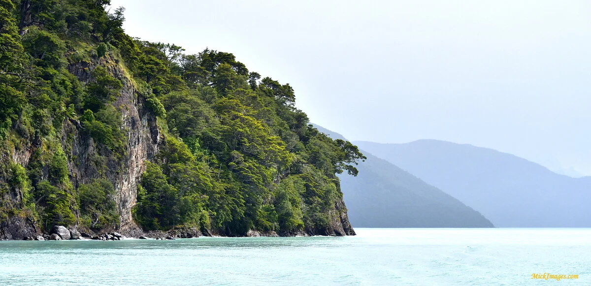Vegetation-clad-cliff-LagoArgentino-mickimages.com.JPG