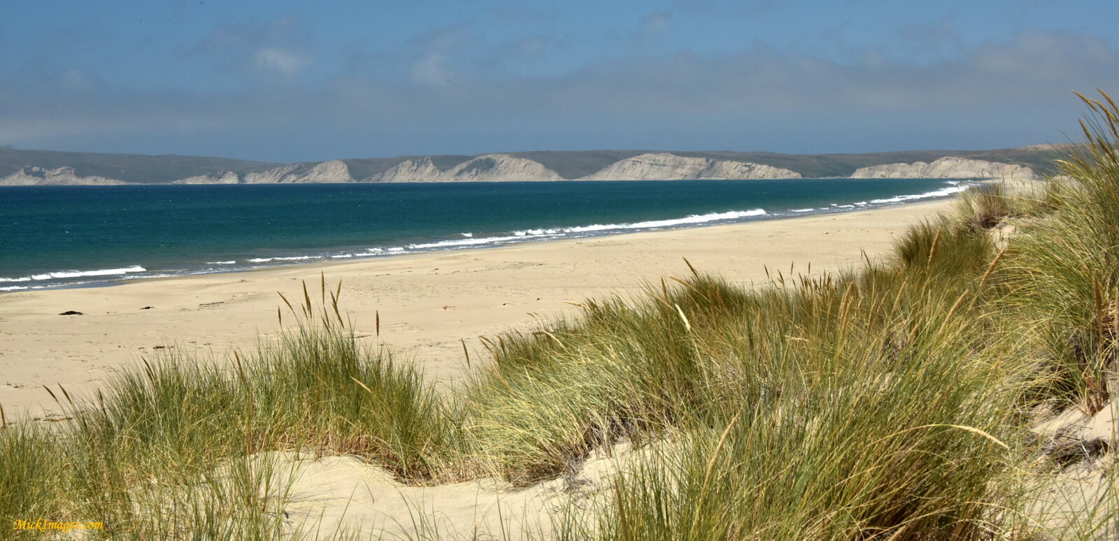 Beach-grass-distant-cliffs-PointReyes-MickImages.com.JPG