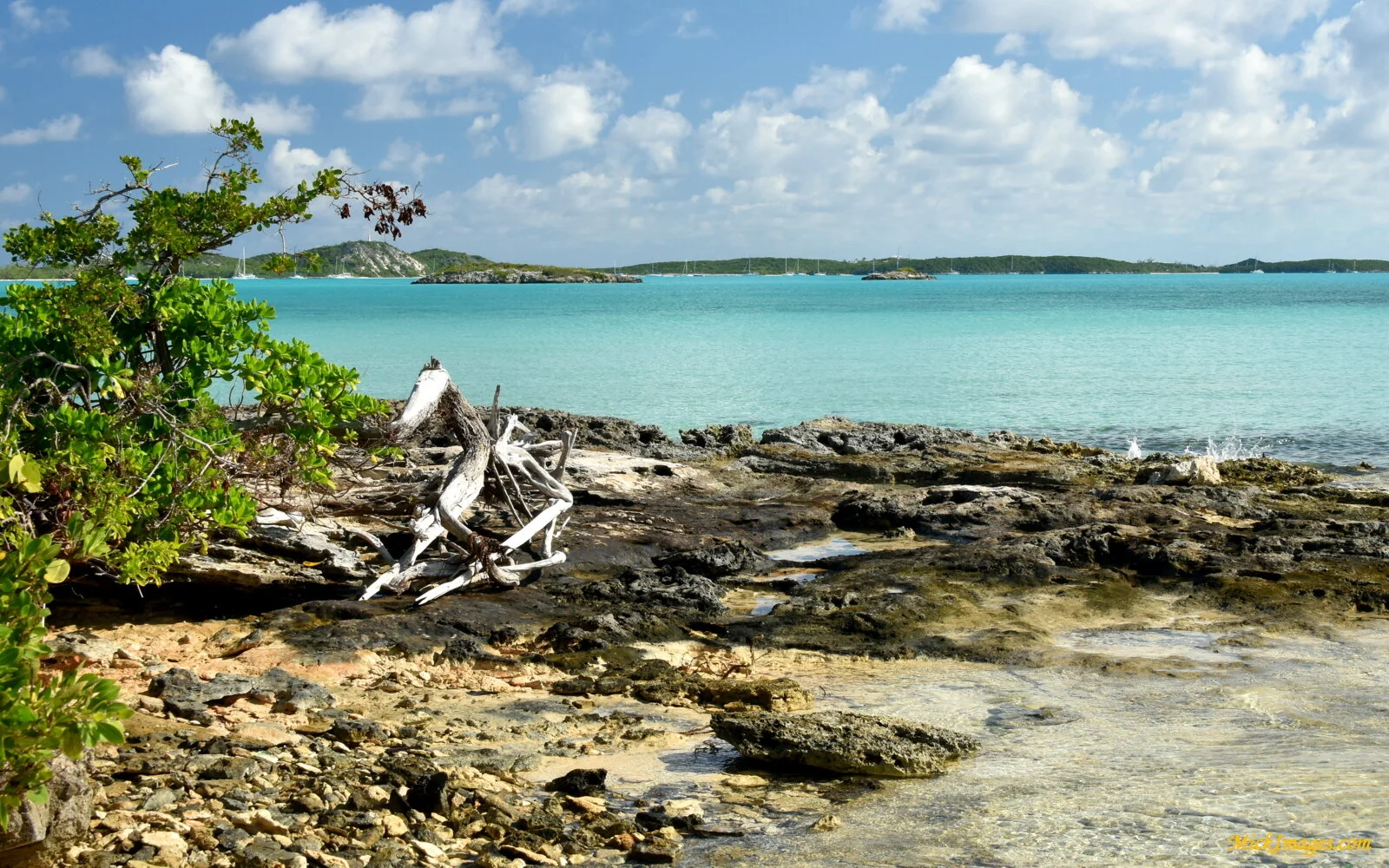 Rock-strewn-Bahamas-Beach-MickImages.com.JPG
