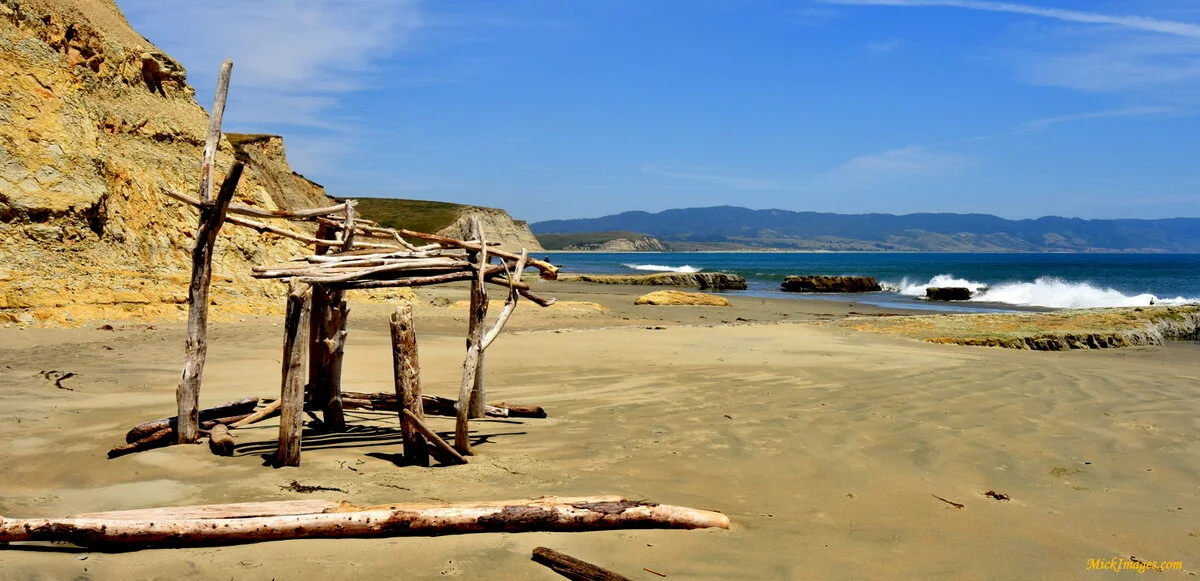 PointReyes-beach-driftwood-art-MickImages.com.JPG