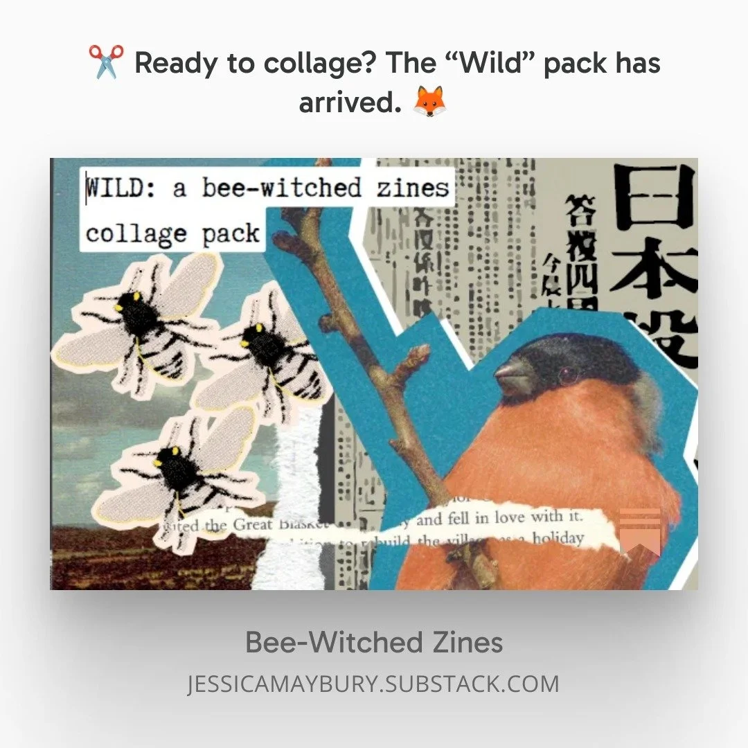 My paid subscribers just got their monthly downloadable collage pack! 

It features magazine cutouts of wild creatures and wilder flora and fauna, extra abstract collage pieces and a few surprise extras. 

All images have been ethically sourced and a