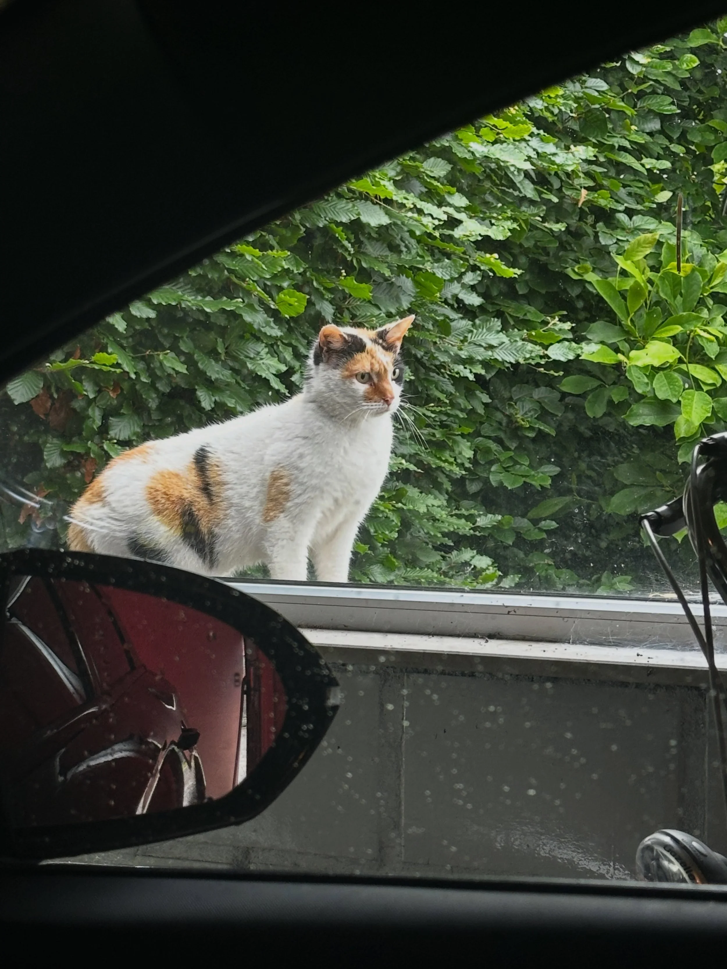 Made a friend