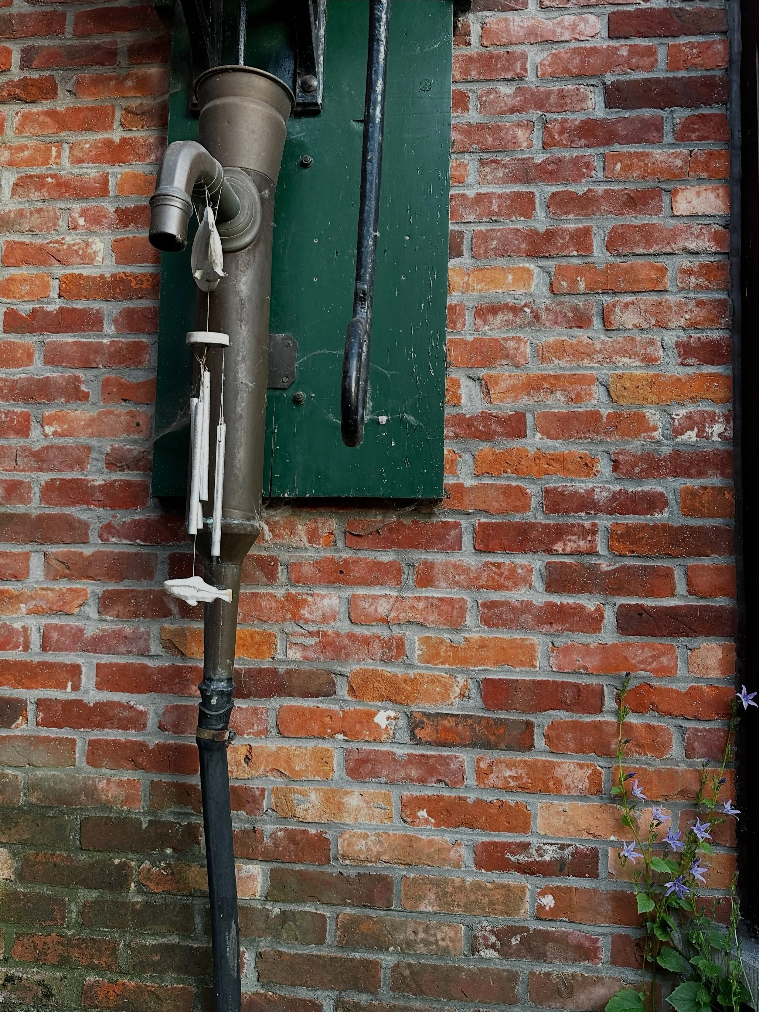Slightly defunct water pump in the corner of the patio is one of the reasons we bought this house 💐