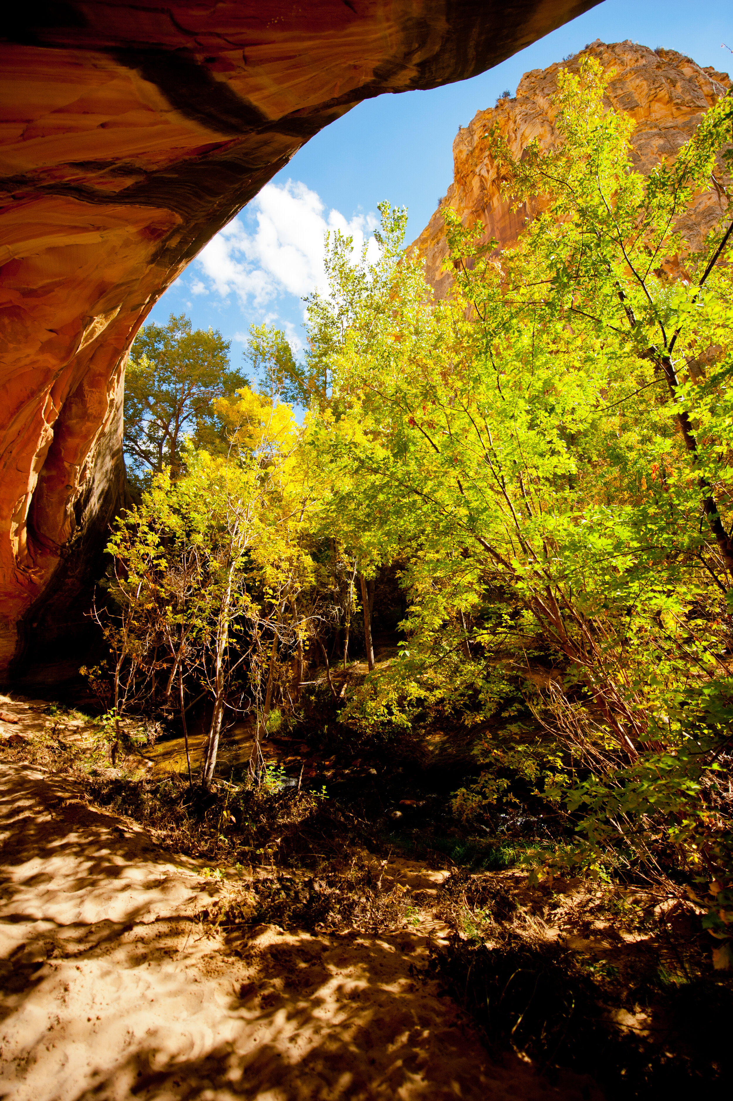 upper calf creek hike-87.jpg