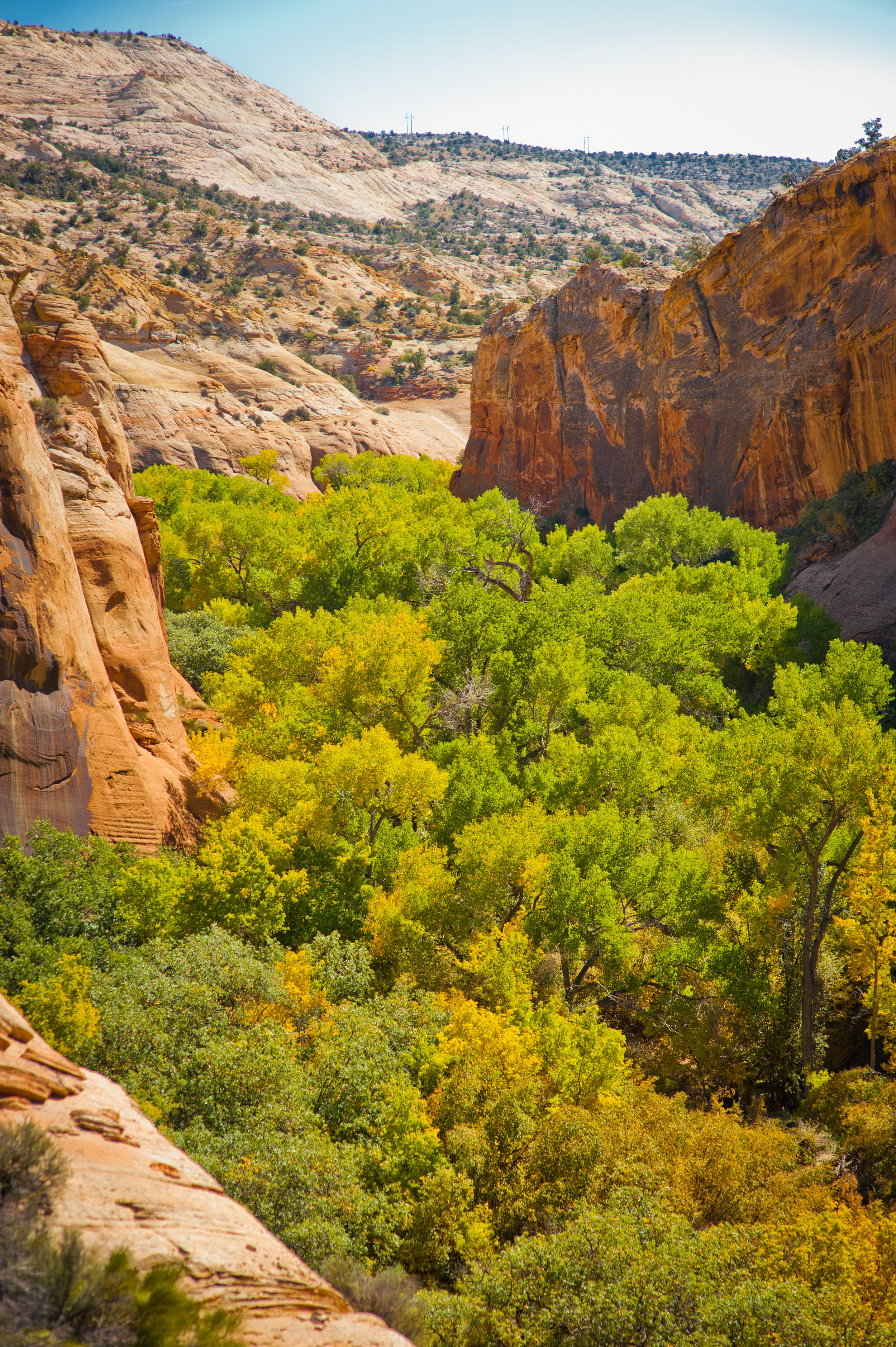 Upper Calf viewpoint.jpg