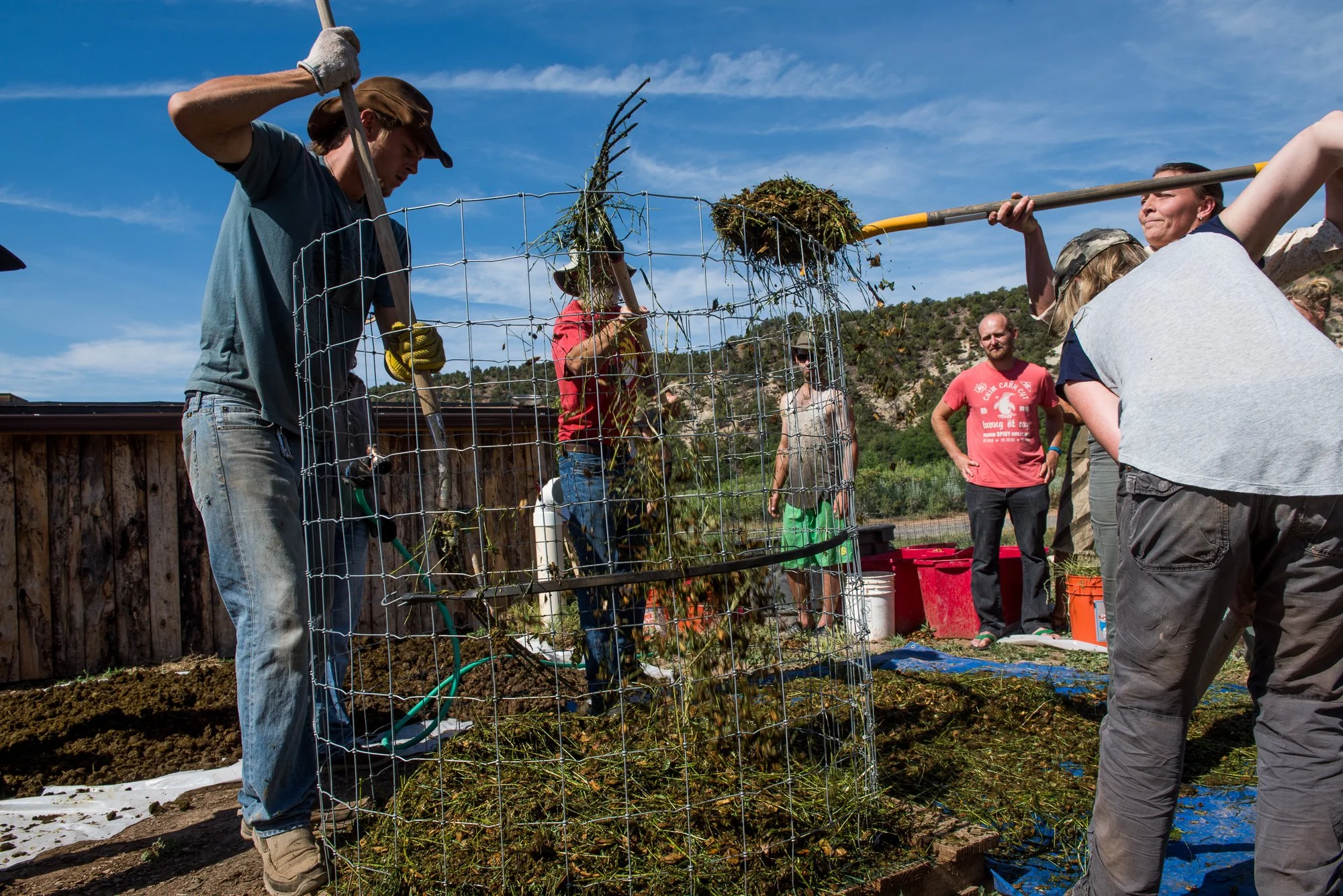 Group Compost (3).jpeg