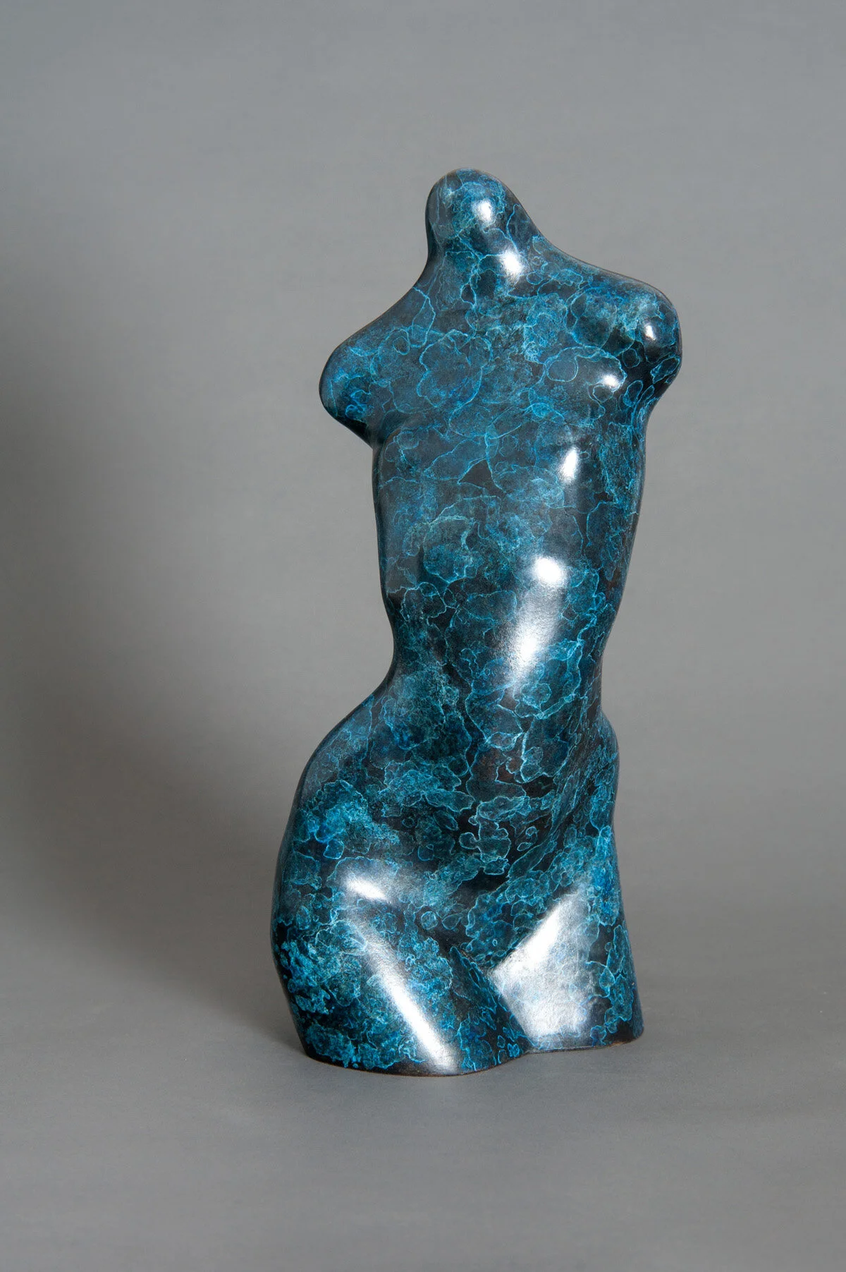 NG Blue Torso v2-2.jpg