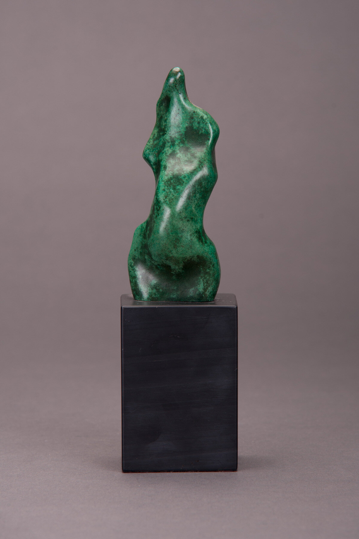 NG Green Torso v2-1.jpg