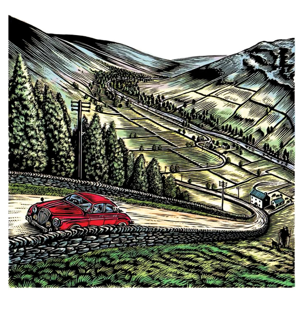 Tim_Oliver_illustration_daimler.jpg