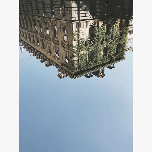 gone swimming

#bern #building #architecture #greenery #urban #jungle #upsidedown #streetphotography #minimalism
