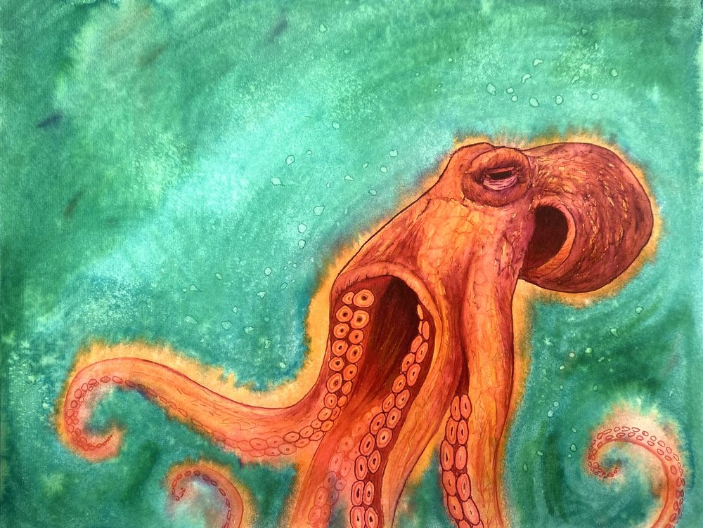 orange-octopus-1.jpeg