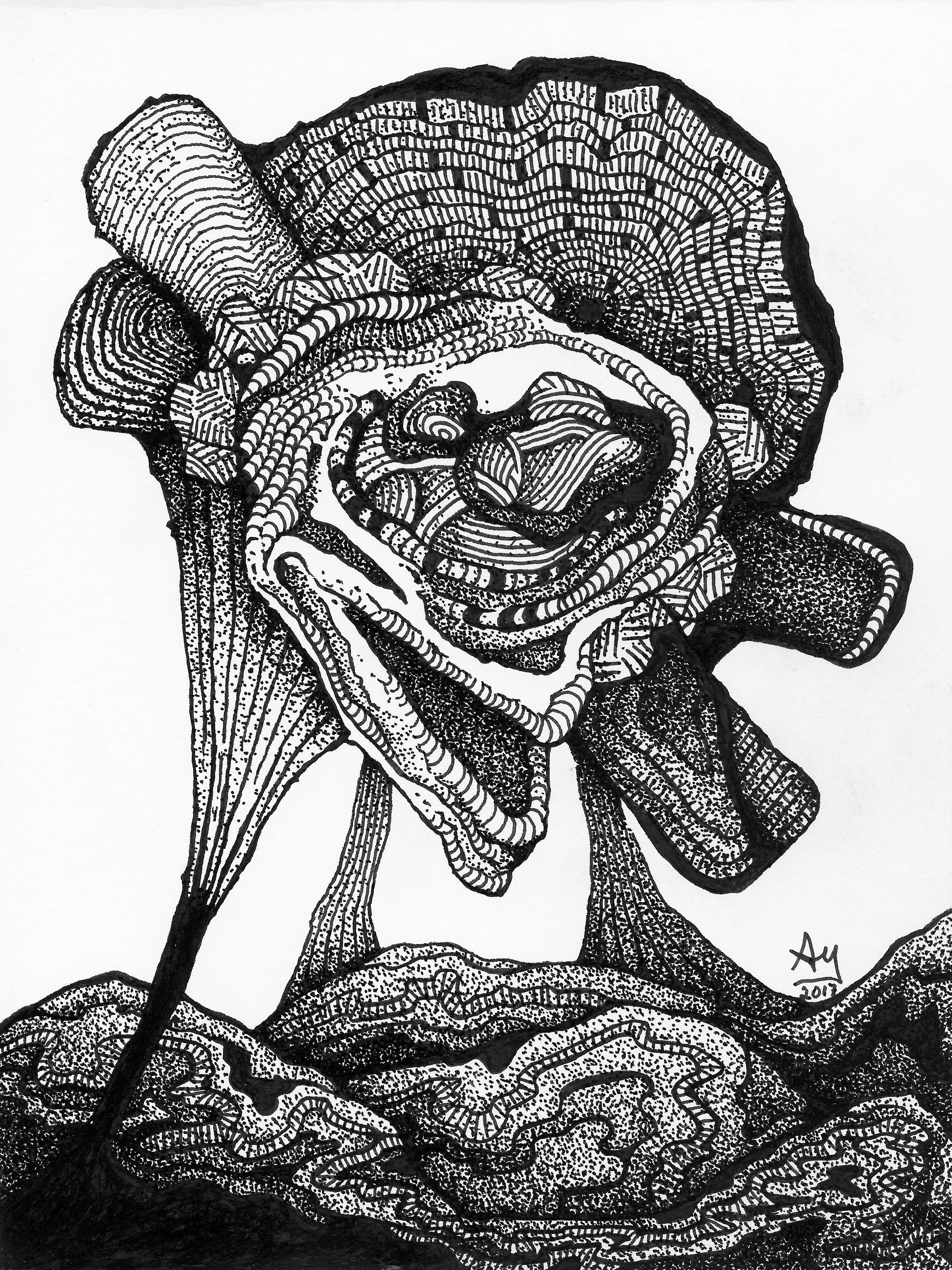 Calaxia | 8 in x 6 in | Ink Drawing